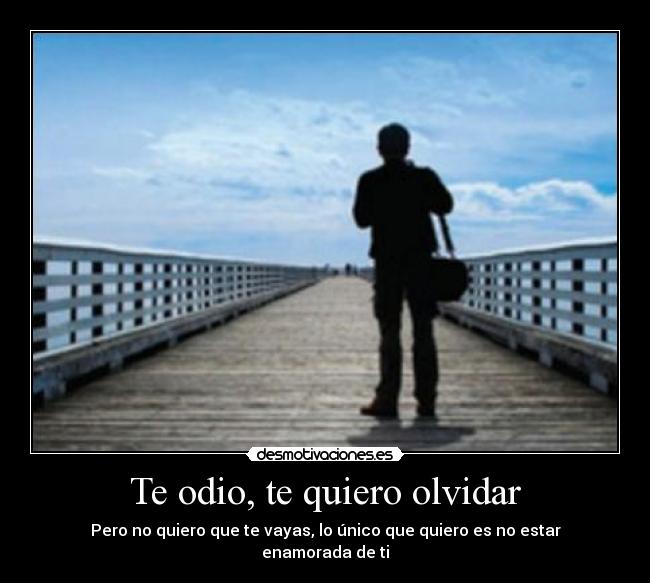 Te odio, te quiero olvidar - 