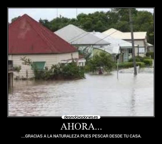 AHORA... - ....GRACIAS A LA NATURALEZA PUES PESCAR DESDE TU CASA.