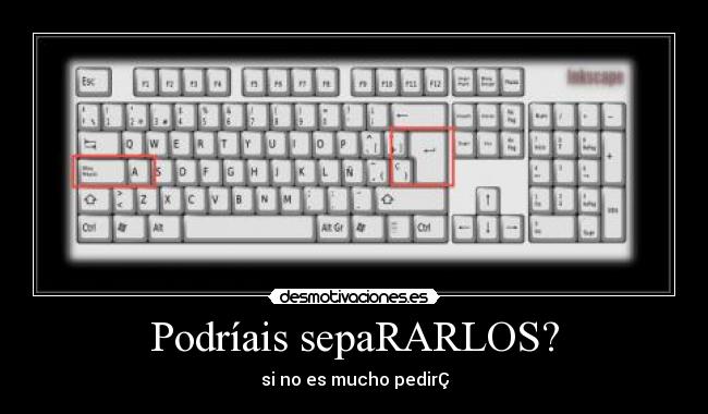 Podríais sepaRARLOS? -