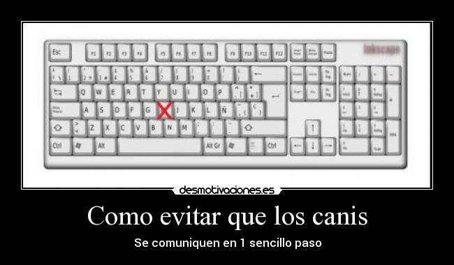 Como evitar que los canis - Se comuniquen en 1 sencillo paso