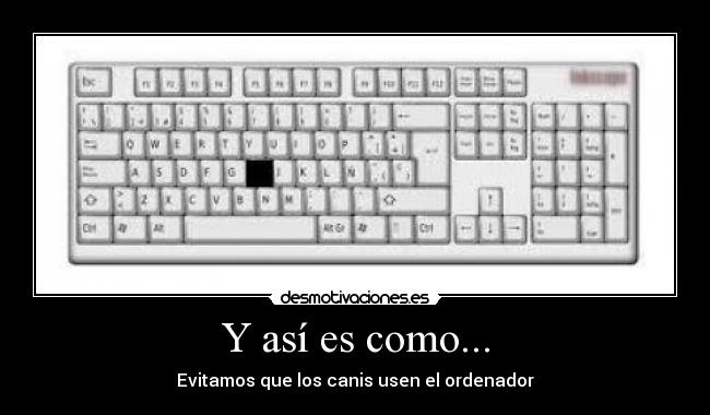 Y así es como... - Evitamos que los canis usen el ordenador