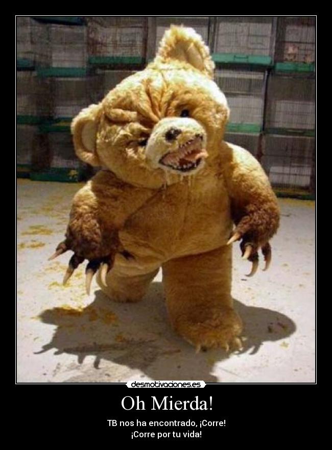 carteles teddy bear mierda encontrar huir matar violar desmotivaciones