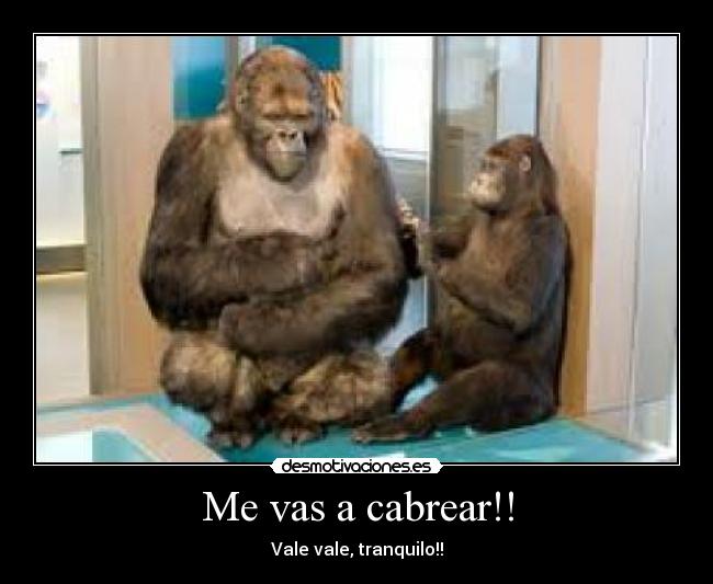 Me vas a cabrear!! - 