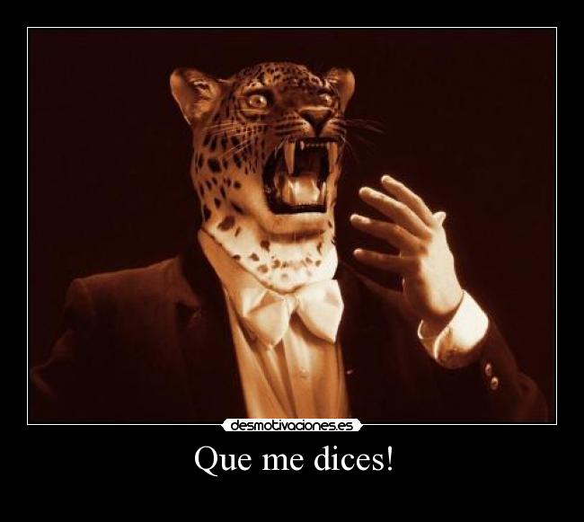 Que me dices! - 