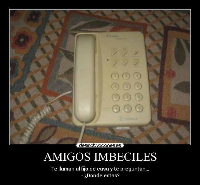 AMIGOS IMBECILES -