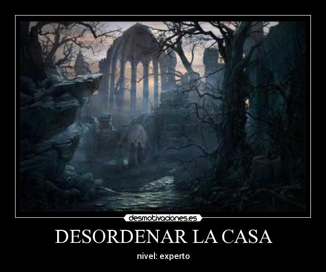 DESORDENAR LA CASA - nivel: experto