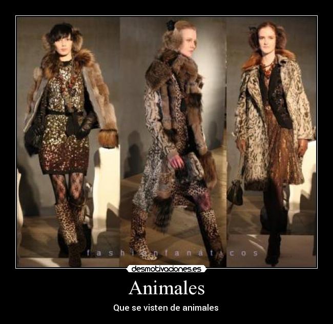 Animales - 