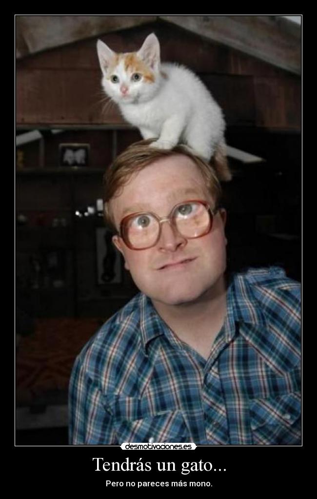 Tendrás un gato... - Pero no pareces más mono.