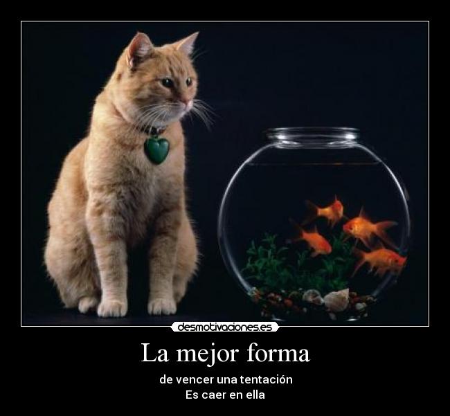 La mejor forma - de vencer una tentación
Es caer en ella
