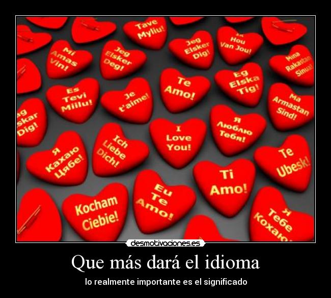 carteles idioma que mas dara idioma realmente importante significado amor quiero love you amo desmotivaciones