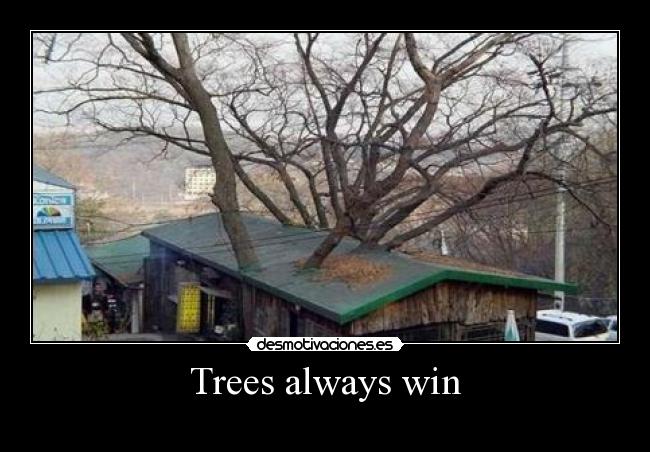 Trees always win -