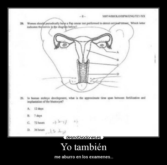 Yo también - me aburro en los examenes...