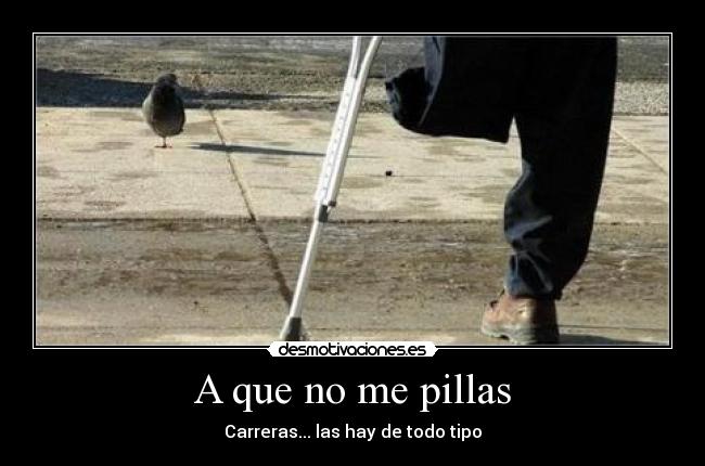 A que no me pillas - Carreras... las hay de todo tipo