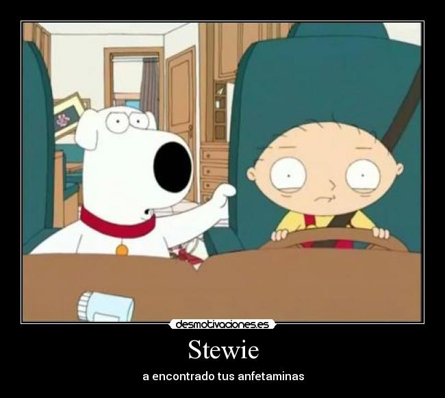 Stewie - 