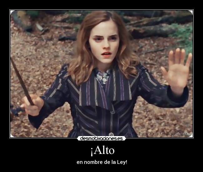 ¡Alto - en nombre de la Ley!