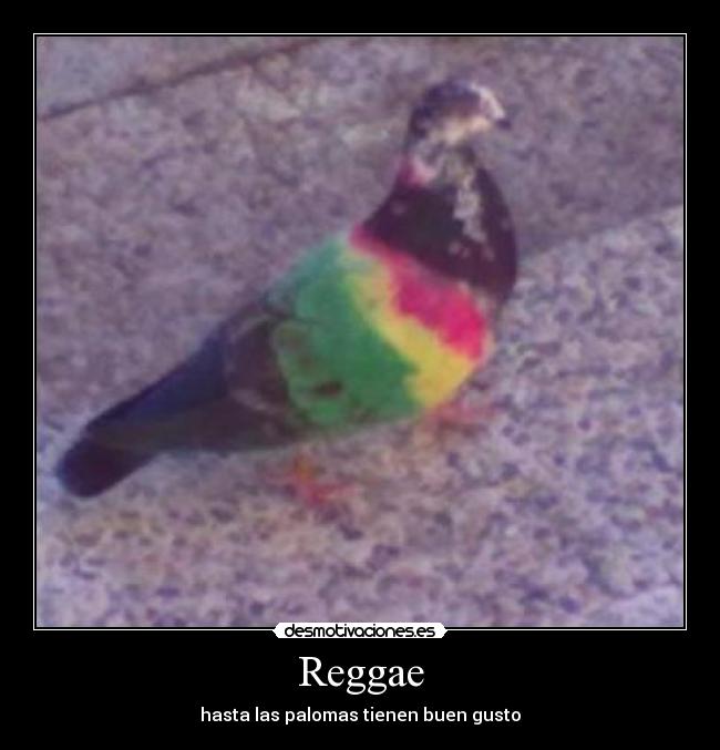 Reggae - 