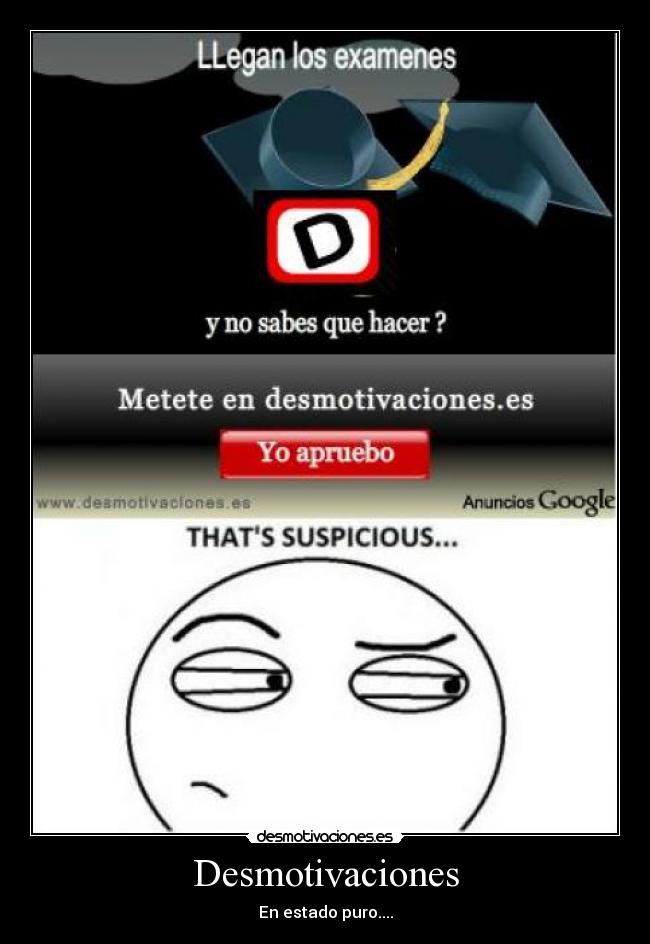 Desmotivaciones - En estado puro....