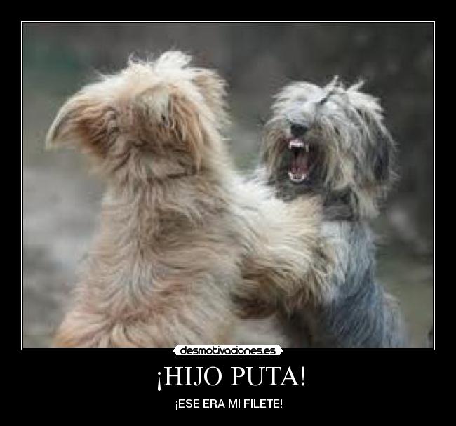 ¡HIJO PUTA! - ¡ESE ERA MI FILETE!