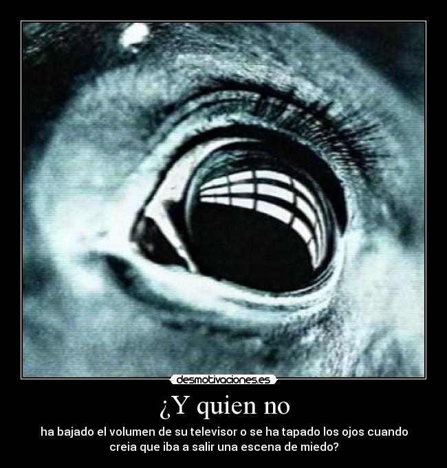 ¿Y quien no - 