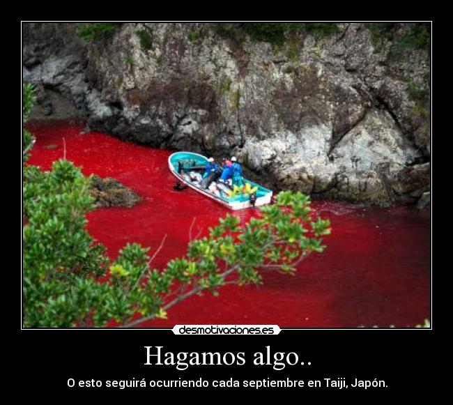 carteles matanza delfines taiji japon the cove desmotivaciones