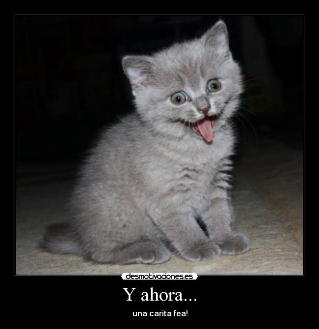 Y ahora... - una carita fea!