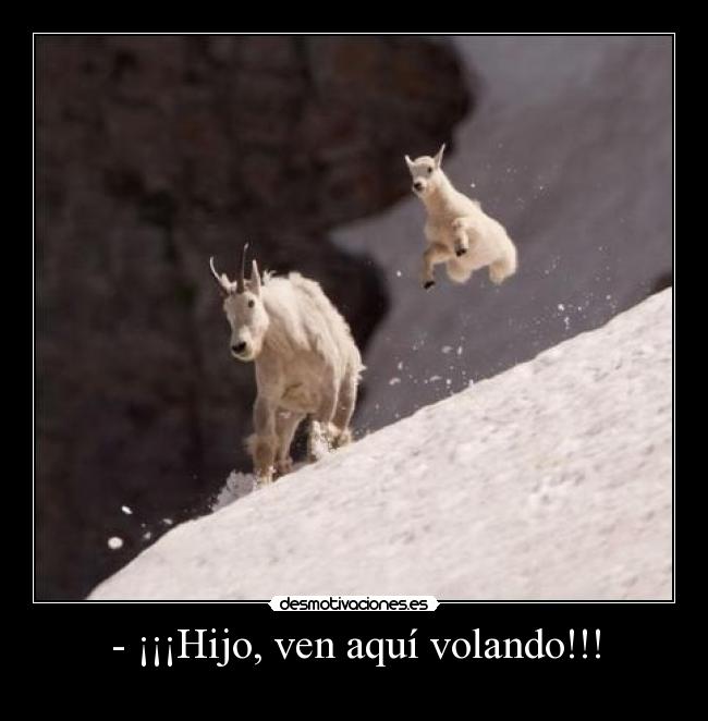 - ¡¡¡Hijo, ven aquí volando!!! -