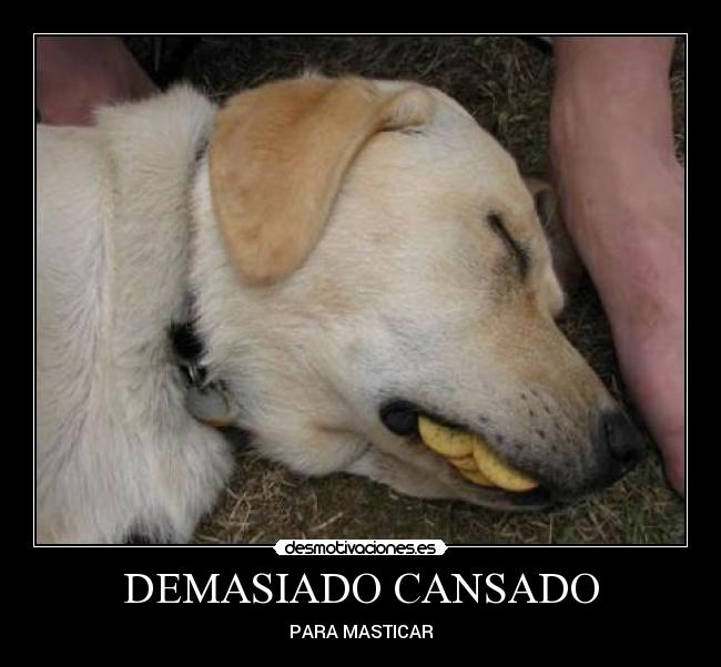 DEMASIADO CANSADO -