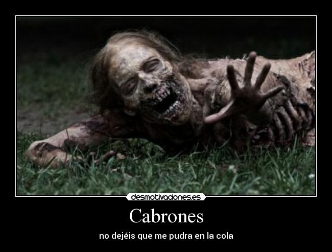 Cabrones - 