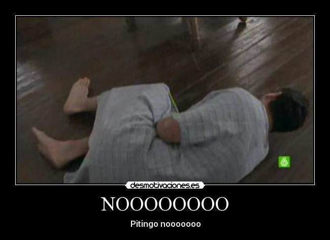 NOOOOOOOO - Pitingo nooooooo