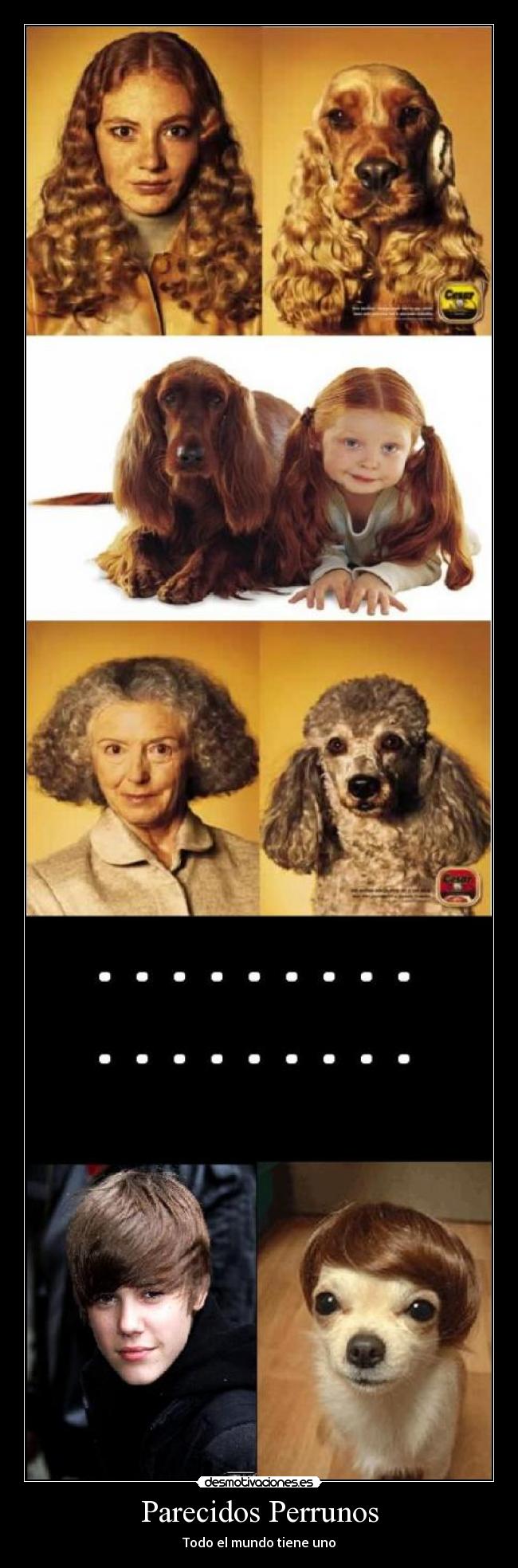 Parecidos Perrunos - 