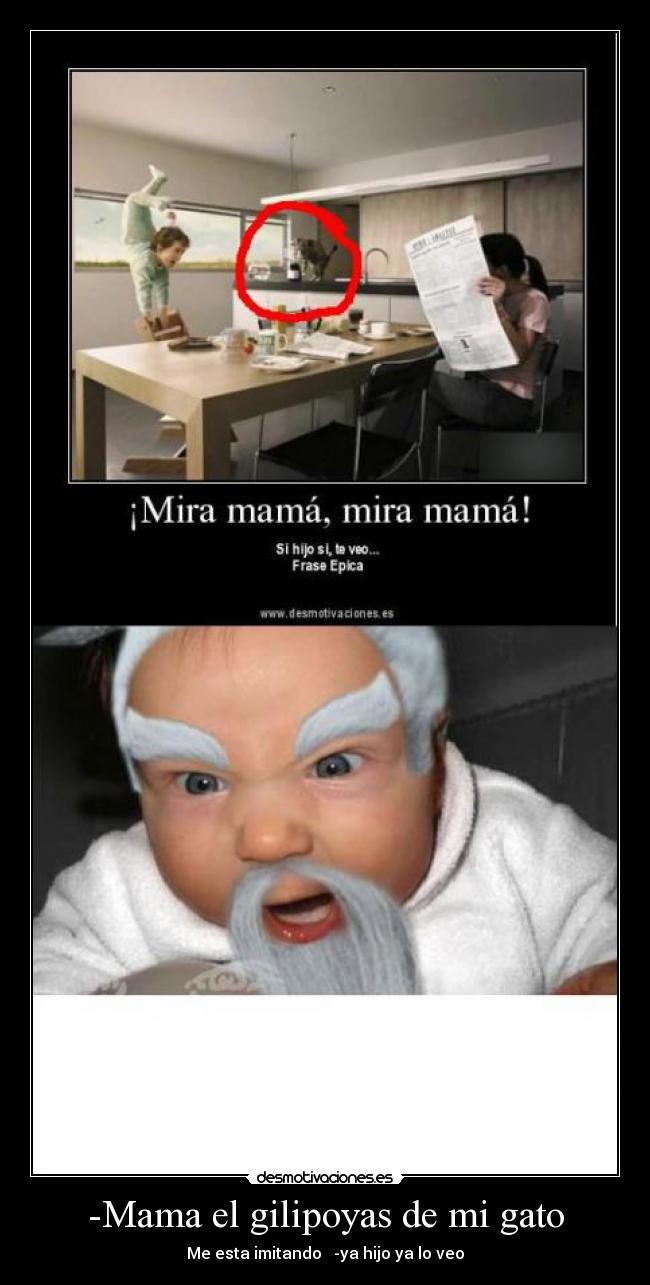 -Mama el gilipoyas de mi gato - Me esta imitando   -ya hijo ya lo veo