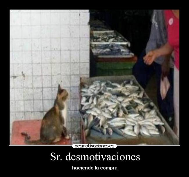 Sr. desmotivaciones -