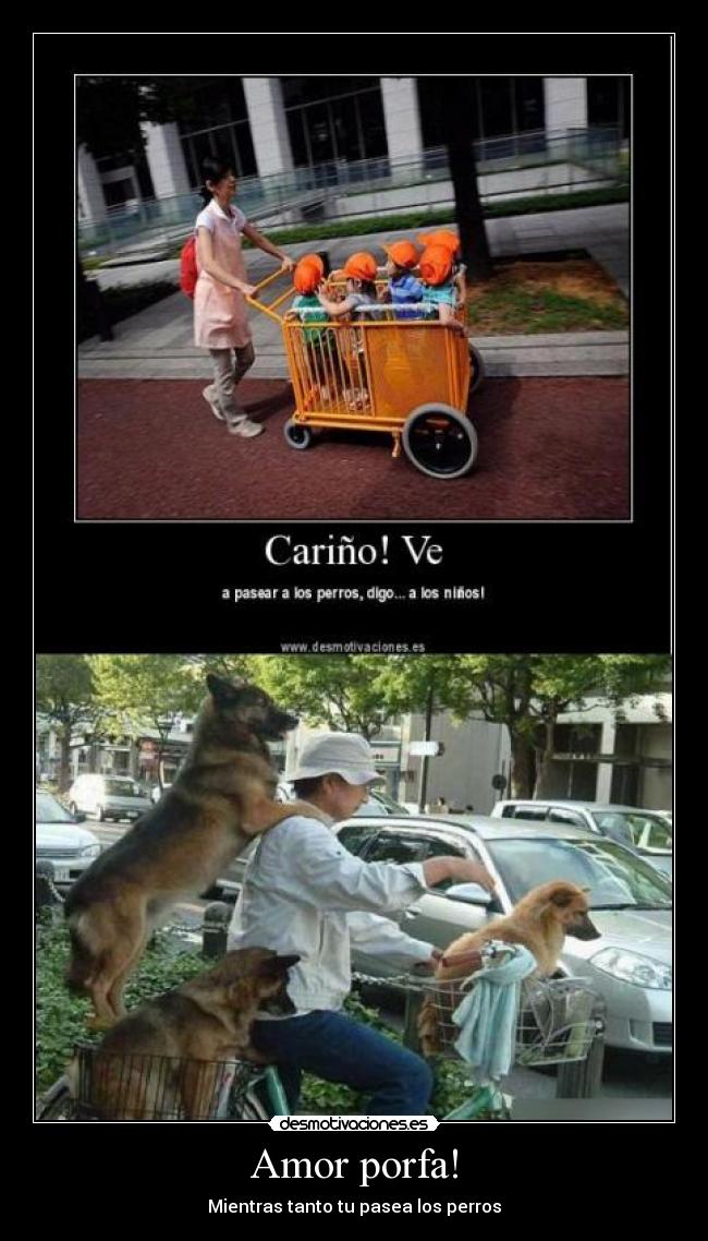 Amor porfa! - Mientras tanto tu pasea los perros