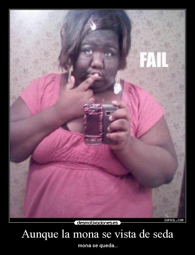 Aunque la mona se vista de seda - 