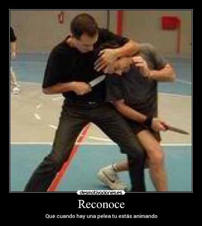 Reconoce - Que cuando hay una pelea tu estás animando