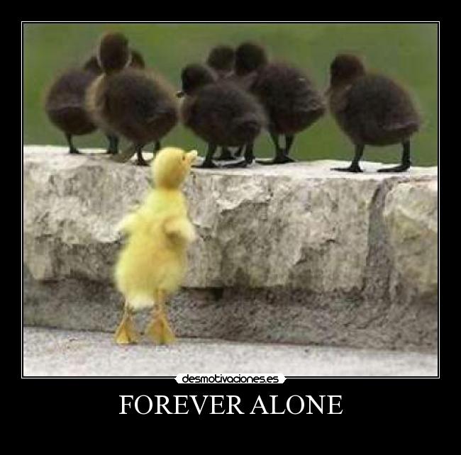 FOREVER ALONE - 