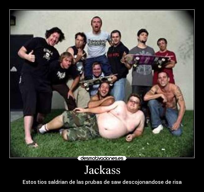 Jackass - 