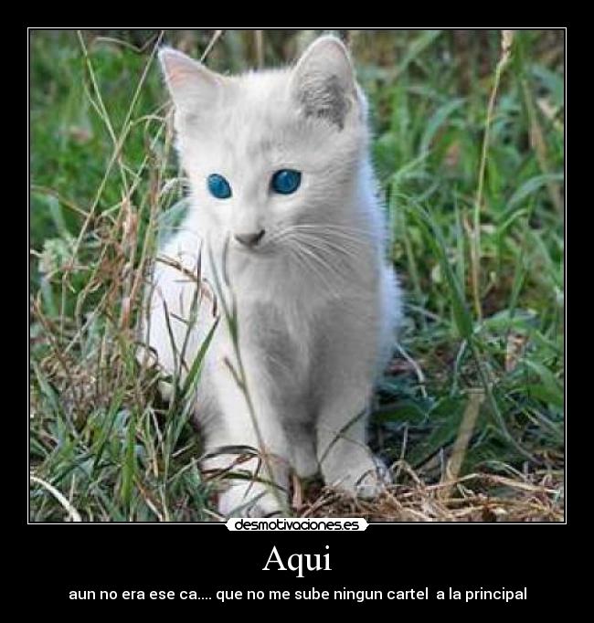 Aqui - aun no era ese ca.... que no me sube ningun cartel  a la principal