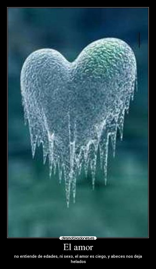 El amor - 