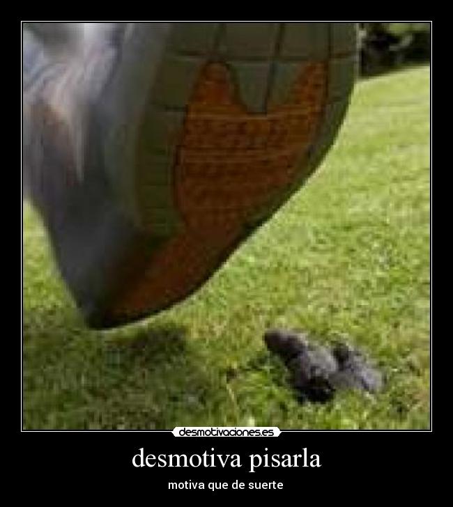 desmotiva pisarla - motiva que de suerte 