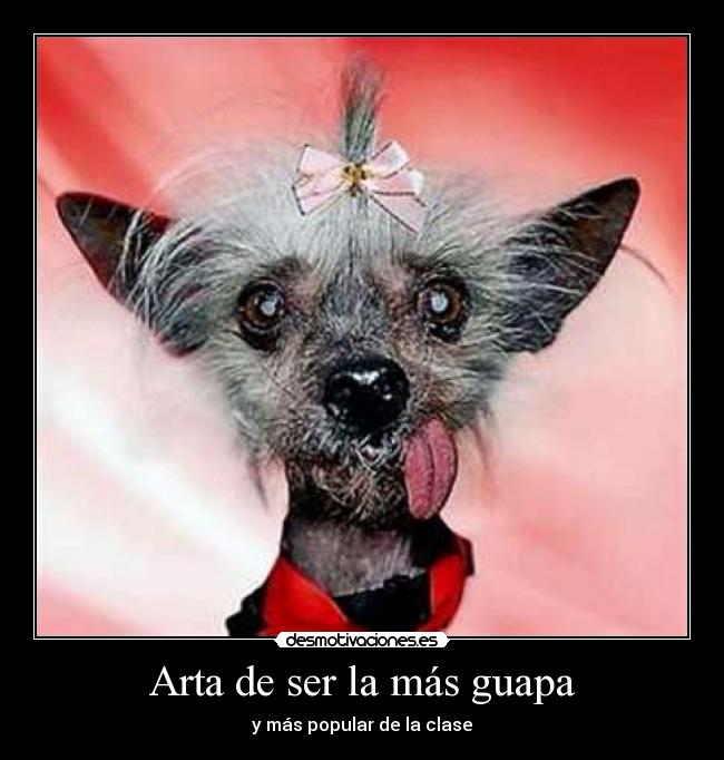 Arta de ser la más guapa - y más popular de la clase