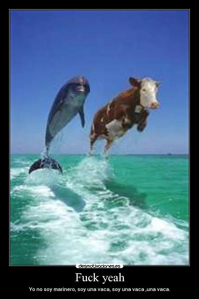 Fuck yeah - Yo no soy marinero, soy una vaca, soy una vaca ,una vaca.