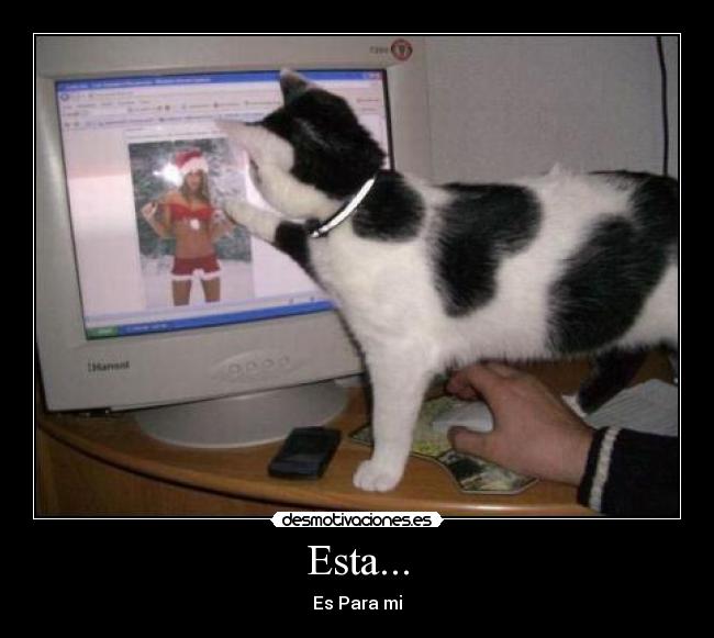 Esta... - 