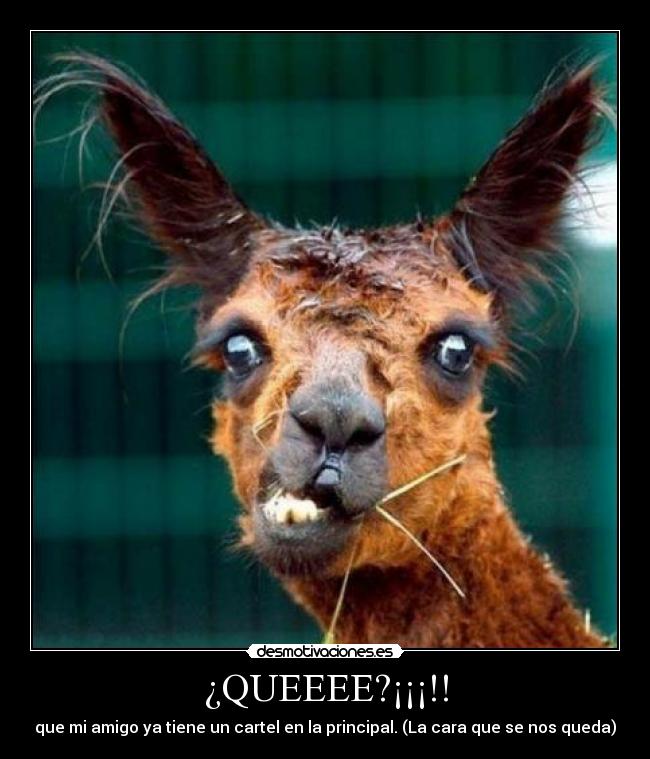 ¿QUEEEE?¡¡¡!! - 