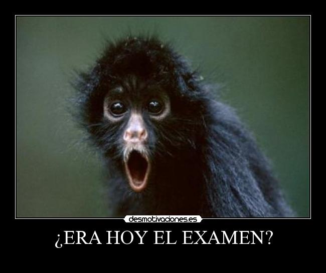 carteles mono sorpresa desmotivaciones