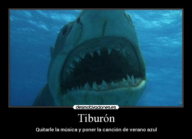 Tiburón -