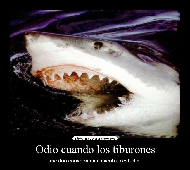 Odio cuando los tiburones -