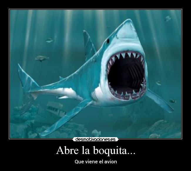 Abre la boquita... - Que viene el avion