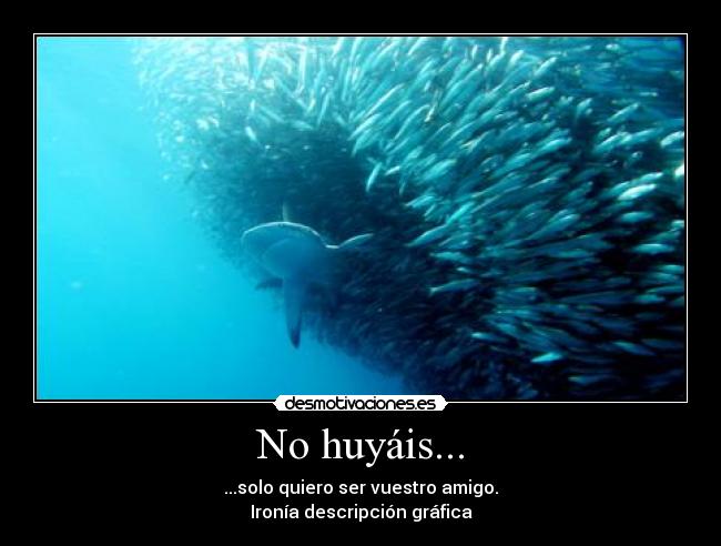 No huyáis... -