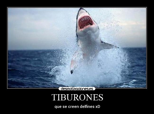 TIBURONES - 